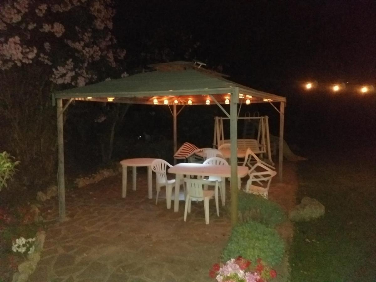 Garden Basement - Seminterrato Max 4 Ospiti - Fiumicino Vicino Aeroporto E Fiera公寓 外观 照片