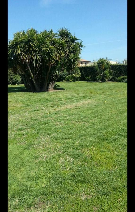 Garden Basement - Seminterrato Max 4 Ospiti - Fiumicino Vicino Aeroporto E Fiera公寓 外观 照片