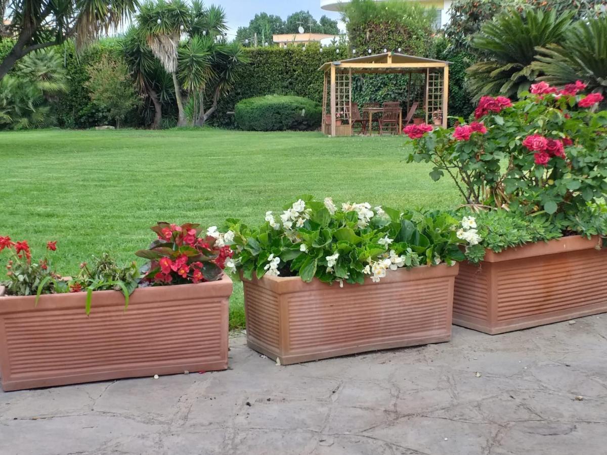 Garden Basement - Seminterrato Max 4 Ospiti - Fiumicino Vicino Aeroporto E Fiera公寓 外观 照片